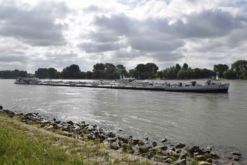 Schiff 1 Koeln in Hoehe der Koelner Zoobruecke P292.JPG - Miklos Laubert